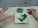 Forma PTAK do stapiania szkła Art recykling / Fusing